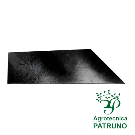 Agrotecnica Patruno Srl » Vomere non forato 280 mm destro